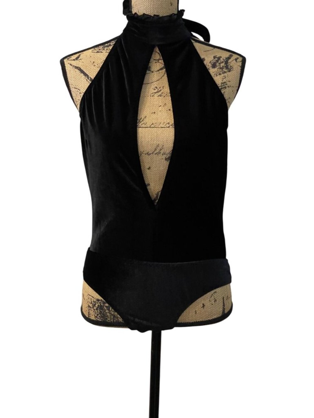 Fantasy Lingerie Bodysuit Velour Choker Sexy - Size M/L - Plunge Neckline - New